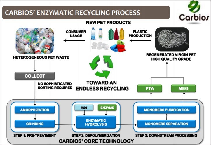 Proses Depolimerisasi Plastik oleh Teknologi Carbios