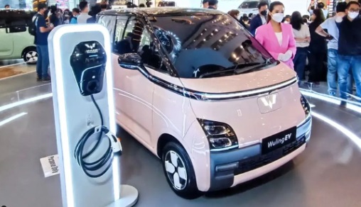Wuling EV Pink
